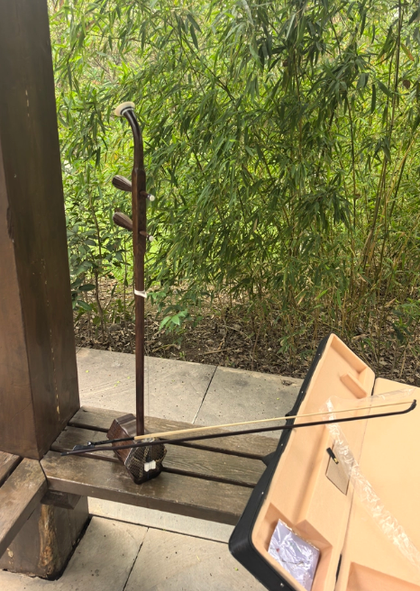 闲置二胡转让 家中老人自用红木二胡 带弓子琴码 懂行的来